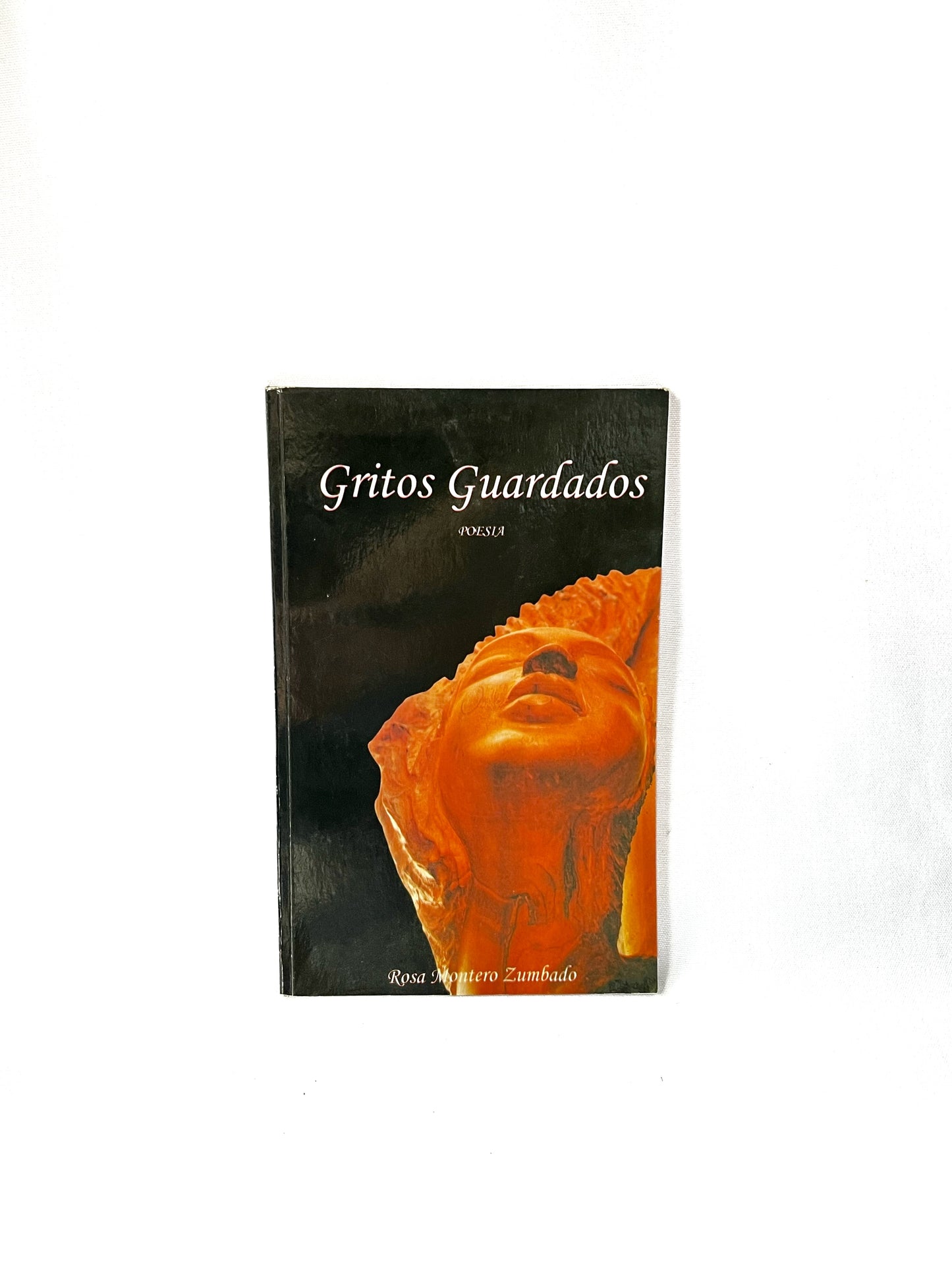 Libro gritos guardados