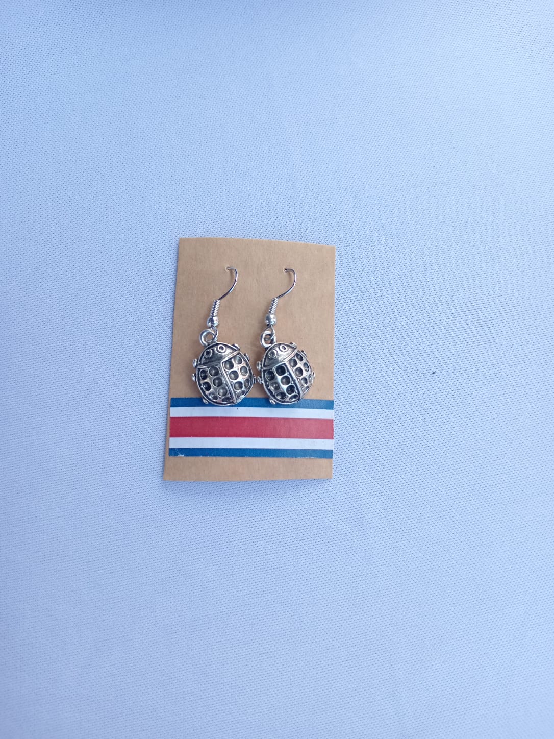 Aretes mariquitas plateados