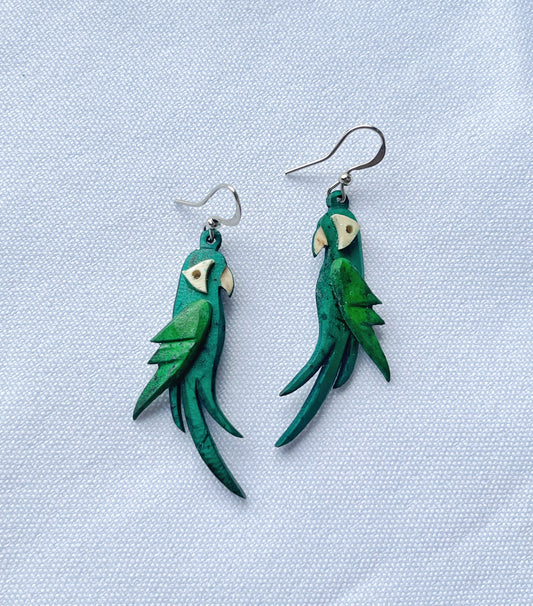 Aretes de coco de loros.