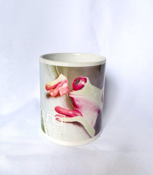 Tazas de cerámica de rana