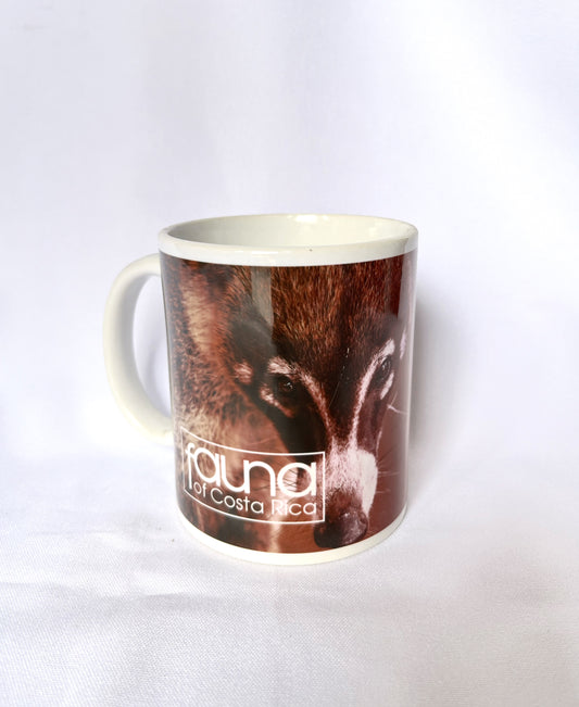 Tazas de cerámica de Coatí
