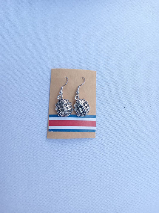 Aretes mariquitas plateados