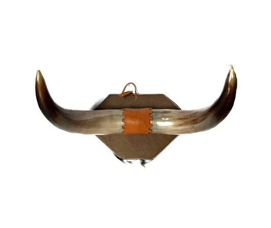 Cachera decorativa